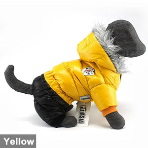 2020 Winter Pet Dog Clothes Super Warm Jacket