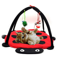 Load image into Gallery viewer, Funny Pet Cat Toys Portable